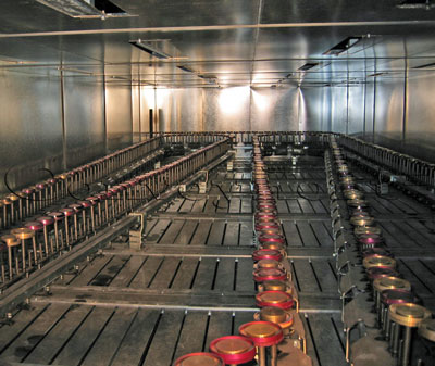 Convoynort - Floor conveyor - Conveyor for can